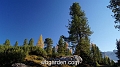 wbgarden alps 120